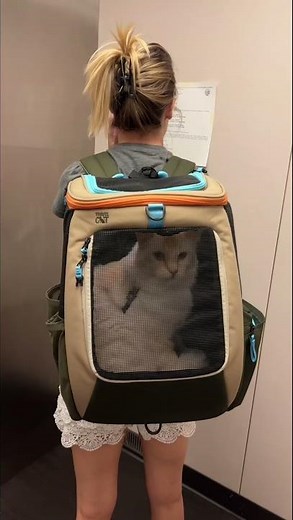 WIN a Navigator Earth cat backpack from Travel Cat