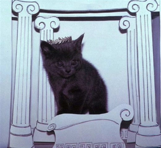 hashtag autista y diddy worl dandy de los años y si 👏 | diddy cartoon animation