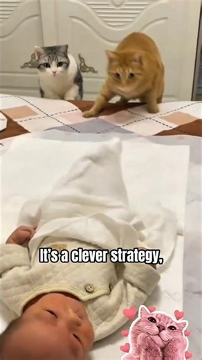 Why Cats Meow Like Babies 😱 (Shocking Cat Fact) #viral #shorts