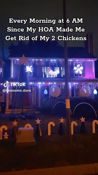 Chicken Christmas Lights Display: Funny Holiday Moments