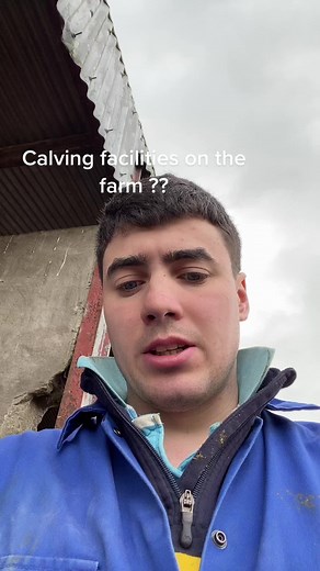 Calving facilities on the farm and what we do ##farming##cows##dairyfarming##ireland##calving