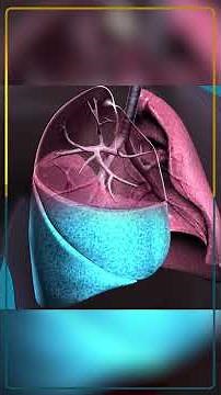 ARDS - Life threatening condition explained by Dr. Taposim Nath (Apollo Excelcare Hospital)