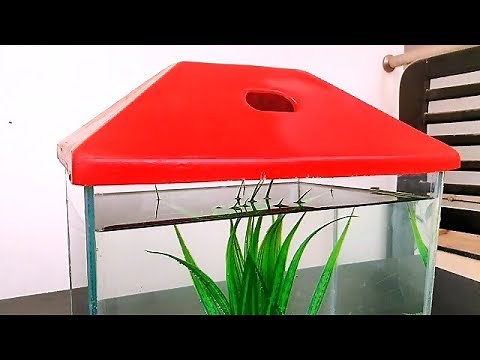 How to Make Small Aquarium at Home (Setup + Tutorial) DIY