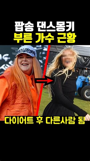 댄스몽키 부른 가수 근황 ㄷㄷ..