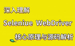 软件测试进阶必看！深入理解Seleniue WebDriver+ SE WebDriver核心原理与源码解析+webservice接口实战