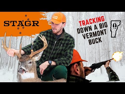Tracking Big Bucks on Snow! | Deer Tracking | Big Woods Deer Hunting