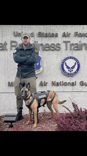 Michael Rogosin and His Military Dog: A Heartwarming Bond