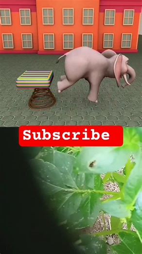 scary vs spider #funny #cartoon #comedy #shorts