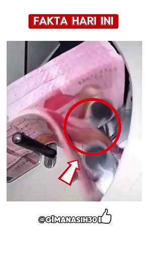 Mesin otomatis penghitung uang