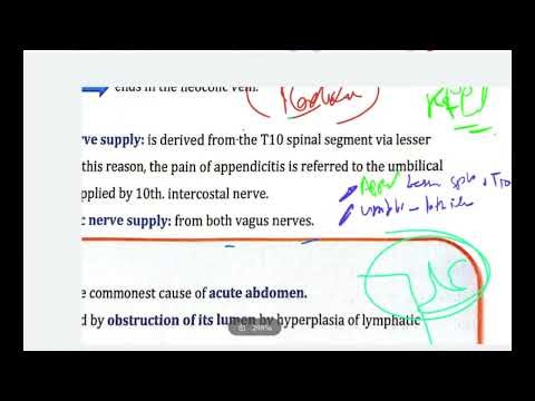 APPENDIX RECTUM AND ANAL CANAL ANATOMY