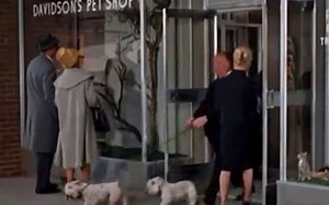 71K views · 4.1K reactions | Alfred Hitchcock made cameo appearances in 39 of his 52 surviving major films. For the films in which he appeared, he would be seen for a brief moment in a non-speaking part. | Alfred Hitchcock | Facebook