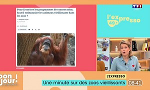 L'expresso : Des zoos vieillissants et une vache qui atterrit sur un pare-brise