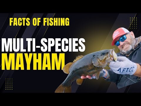Multi-Species MAYHEM! Facts of Fishing S17 Ep 1709