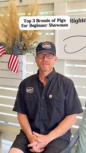 60K views · 563 reactions | Top 3 showpig Breeds for beginner showman! #showpigs #pigbreeds #duroc #hampshire | Dadson Farms | Facebook