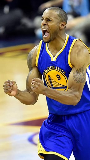 Andre Iguodala Golden State Warriors Highlights