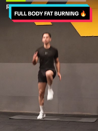 Full Body Workout No Equipment Needed for Home Fitness