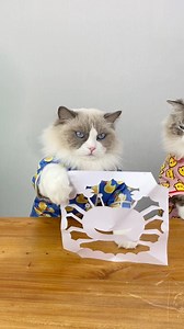 169K views · 2.9K reactions | 呂 When Puff’s paper spider turns into a crab by surprise! #PuffCrafts #UnexpectedArt #ThatLittlePuff | That Little Puff | Facebook