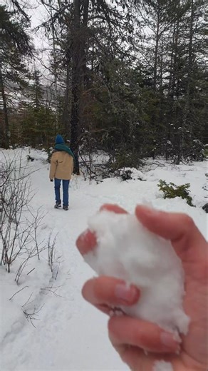 Snowball Fun in the Winter Forest