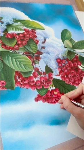 Drawing Snow & Berries In Colored Pencil | Botanical Drawing Tutorial
