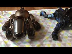 Aibo ERS-7M3 and ERS-210: Newborn Stage