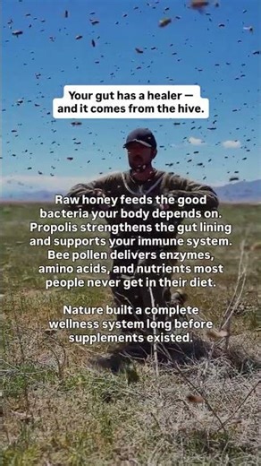 The Hive Is Nature’s Pharmacy (Especially for Gut Health)