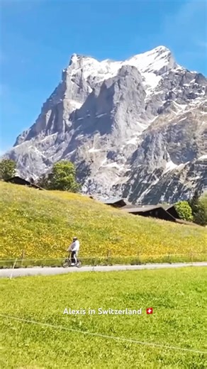 Beautiful Switzerland 🇨🇭 Follow for Swiss shorts 🏔️ #switzerland #travel #nature #shorts