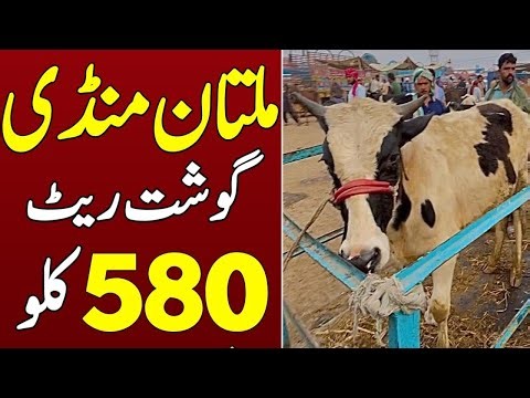 Multan Mandi Ke Taza Rates 💥| Kanty k Taza Rates Per kg 🤔 | Live Khareedari