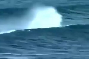 258K views · 1.1K reactions | #Alien or #Mermaid going for a swim ?? #ufo #Share #Sirena #Viral | FUFON (Fun UFO Network | Facebook