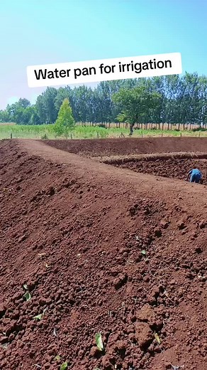 Effective Irrigation Water Solutions for Agriculture