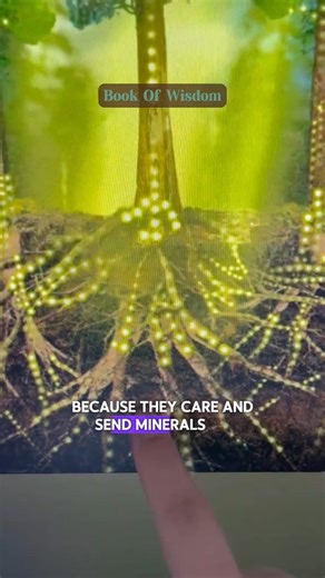 Why Freemason use this symbol?#bookofwisdom #book #BookTok #dealsforyoudays #cozyvibes #shop | Light For The Soul