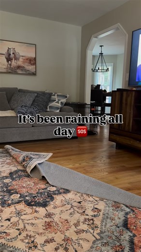 When Mother Nature cancels outside time, the living room becomes the track. SEND HELP  #rainydayvibes #crazydogs #dogstagram #dogmomlife #labpuppy #labradorlife #crazydog #labsofinstagram #blacklab #dogsofinstagram | Chaos in Collars | Facebook