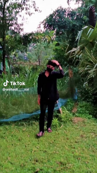 Explore Stunning 8K Videos of Favorite Sounds