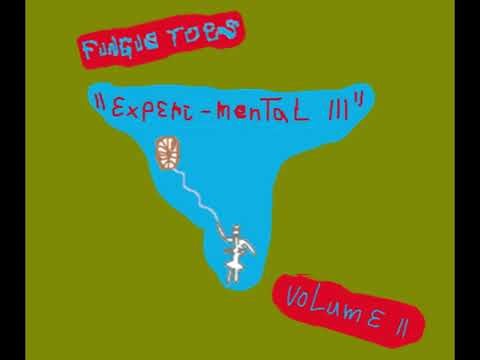 Fungus Toes - Robot Overlords