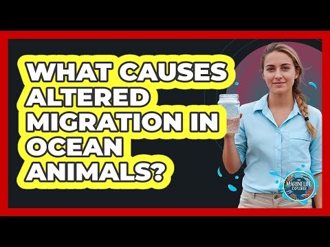 What Causes Altered Migration in Ocean Animals?