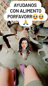 Porfavor ayuda con alimento porfavorr🙏🙌🥺 #perritos #SOS #alberguedeperros #adopciónanimal #comida #ayuda | El hogar de Deysi