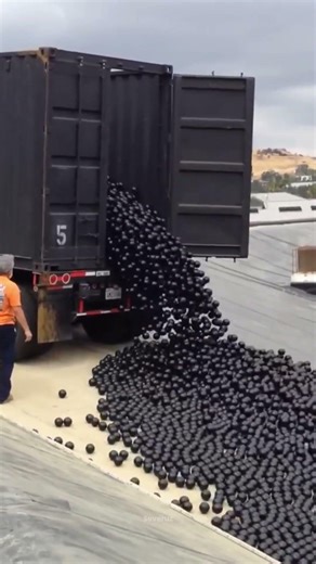 India’s Thermocol Dam Disaster: The Most Hilarious Water Crisis Fail!