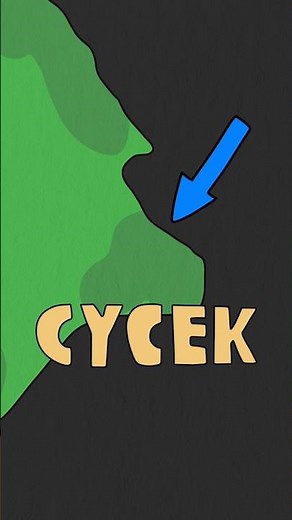 Granice Polski #animacja #animation #śmieszne #humor #ciekawostki #historia #history #shorts