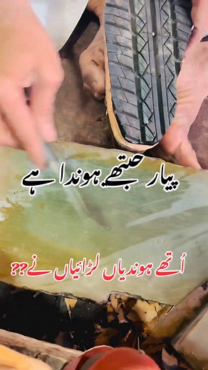 4.4K views · 11 reactions | #0340756812#03369143657...