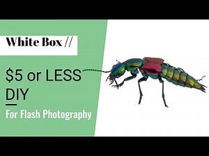 How to build a white box | For under $5 and for flash photography