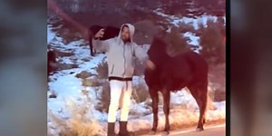 Man seen grabbing a wild horse’s face to pose for a photo