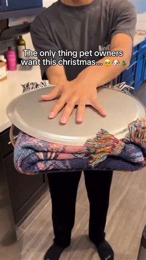 7K views · 182 reactions | Send this video to a dog owner! #dogs #blanket #art #christmas | MeowChase | Facebook