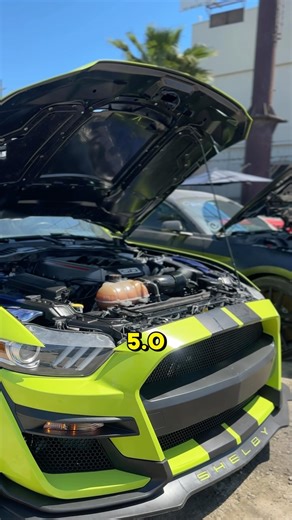 Turi on Instagram: "Tengo las ganas me falta todo #fyp #mustang #tuning #shelby #parati"