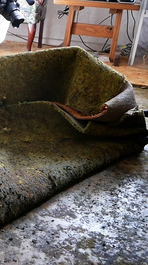 pov you’re about to clock out for lunch 😅🤢 • • • #crimescenecleaners #crimescenecleanup #dirtytok #crimetok #maggotsvsfood #crimejunkie #educationalpurposes