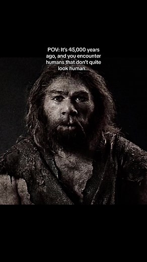 Encountering Neanderthals: A Journey into Prehistoric History