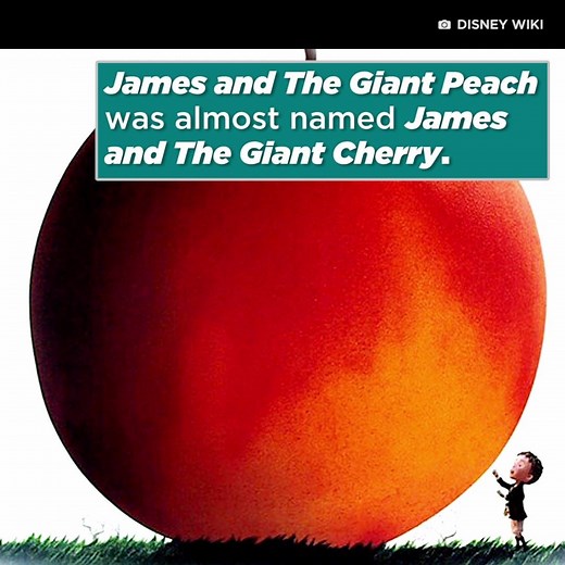 What was your favourite Roald Dahl book growing up? It's his birthday today! To celebrate, we have some phizz-whizzing facts about some of his best-known works! | CBC's Q