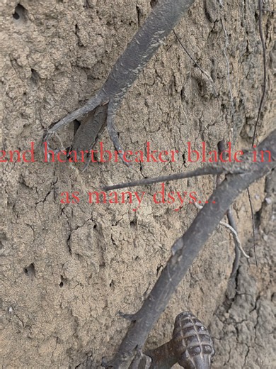 Texas Arrowhead Finds: Erosion Digging Reveals Two Broken Blades