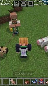 new pet mod #minecraft