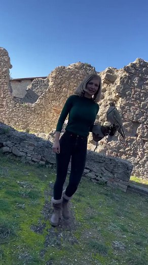 8.5K views · 183 reactions | In attesa del calendario primaverile dei nostri appuntamenti Wild 2024!#falcong #passeggiatewild #festivaldelleaquile #abruzzo #italy #wild #wildexperience #falconry #life #falcon #giovannigranati #athenajitariuc#montigemelli www.montigemelli.itwww.falcong.it www.fortezzadicivitella.it Fortezza Civitella del Tronto #naturaselvaggia #poteredellaria | Falcong | Facebook