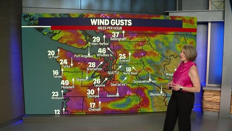 Seattle Weather: heavy rain and strong winds