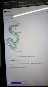 Go through the diagram given below:![Diagram of a filamentous... | Filo